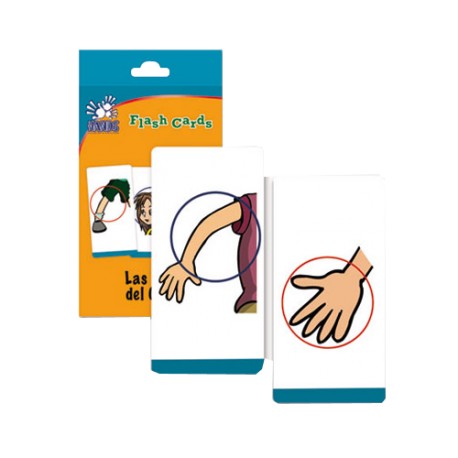 Flash Cards Partes del Cuerpo